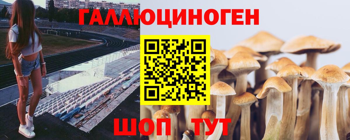 Галлюциногенные грибы GOLDEN TEACHER Омск